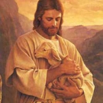 Lost Lamb